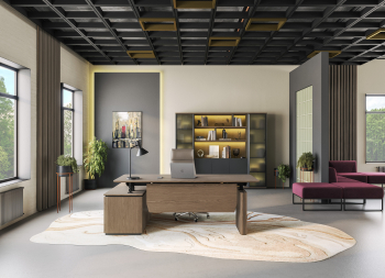 Кабинет руководителя ION