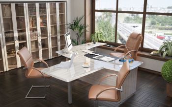 Кабинет руководителя Консул Лак