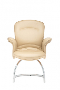 Кресло для посетителя Виктория.D40