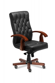 Кресло руководителя Darwin B
