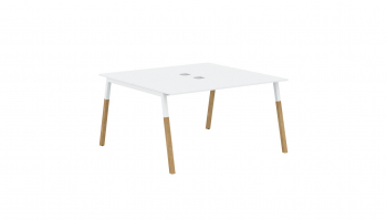 Рабочая станция FWST 1313