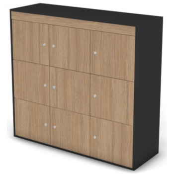 Шкаф-локер низкий широкий 122H0421.0422.0423