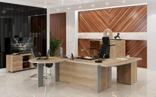 Кабинет руководителя DIONI. Фото 1