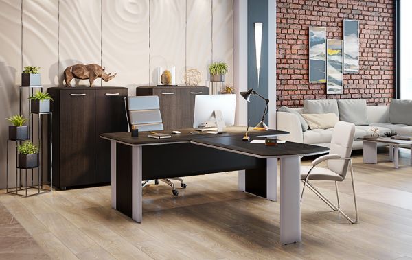 Кабинет руководителя DIONI. Фото 3