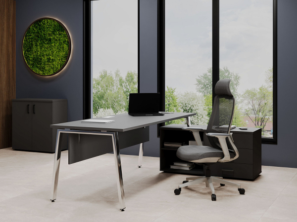 Кабинет руководителя Style Project Direct Lux. Фото 3