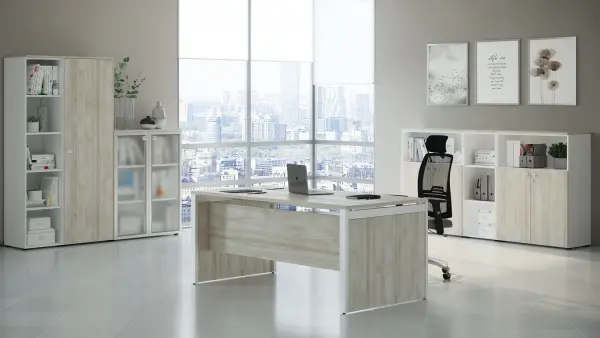 Кабинет руководителя Tess-K. Фото 1