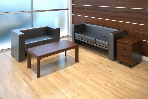 Кабинет руководителя Zaragoza. Фото 19