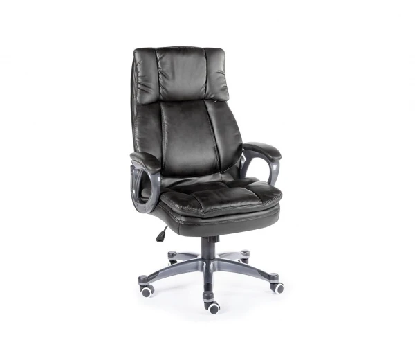 Кресло для руководителей Мэдисон. Фото 1