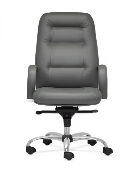 Кресло для руководителя Никсон.D100. Фото 1