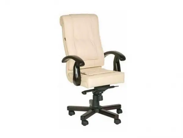 Кресло руководителя Донателло. Фото 1