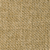tl55