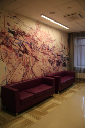 База сборной России в Новогорске - Фотографии. Фото 28