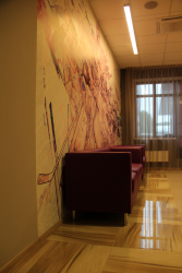 База сборной России в Новогорске - Фотографии. Фото 30