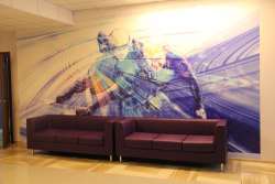 База сборной России в Новогорске - Фотографии. Фото 36