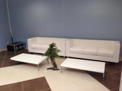 База сборной России в Новогорске - Фотографии. Фото 5